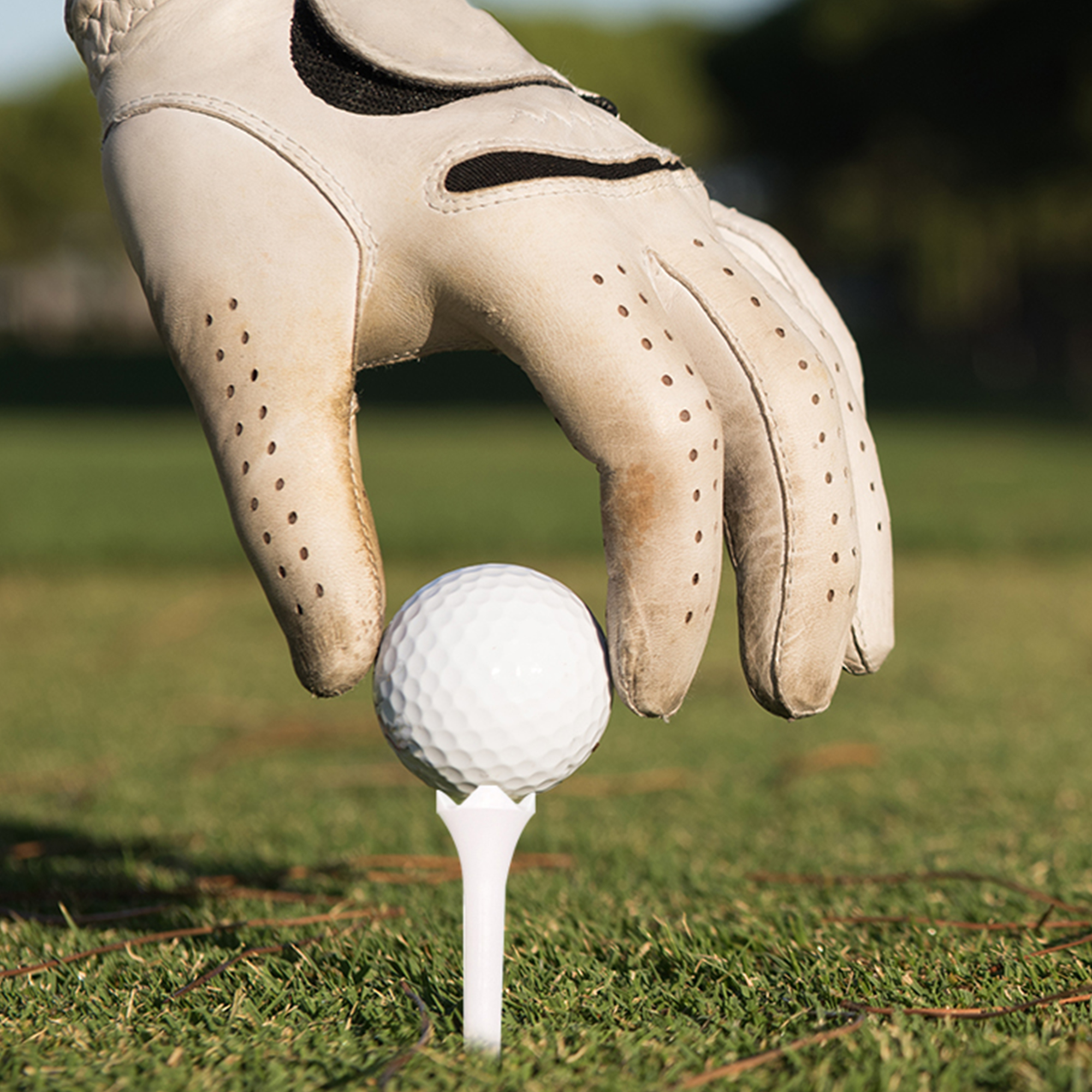 Wholesale White ABS Golf Tees for Courses and Retail detail 3